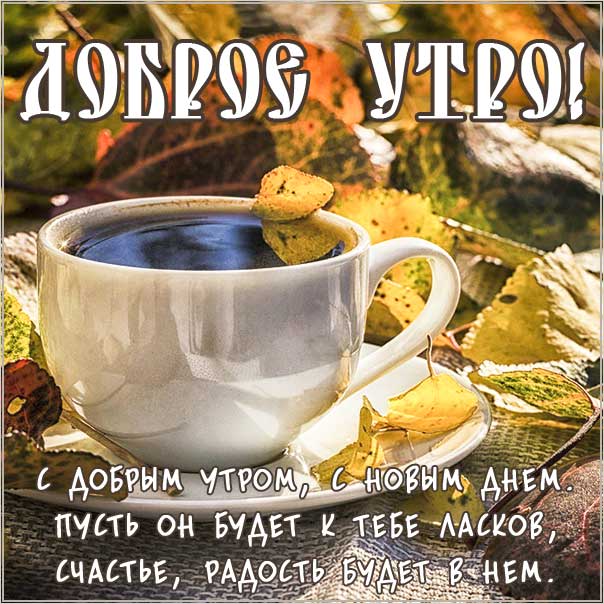 Открытка С добрым утром! С новым днем! Улыбаемся, живем!