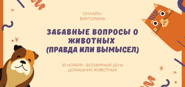 Викторина для детей 6–7 лет «Дорожная