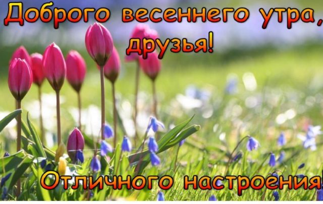 Красивые картинки Природа весна доброго дня