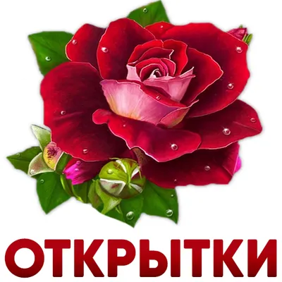 Открытки С Добрым Утром Одноклассники | TikTok