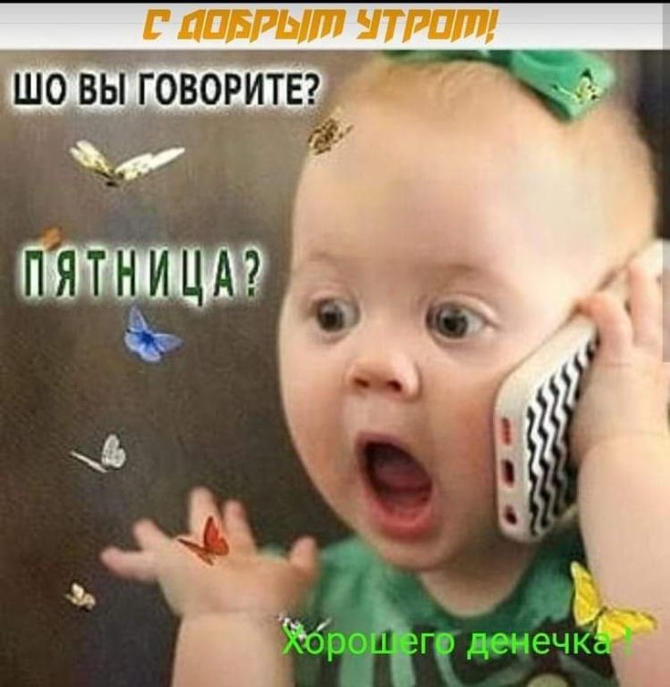 Весёлые истории