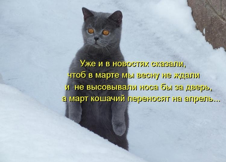 Умираю как хочу спросить!