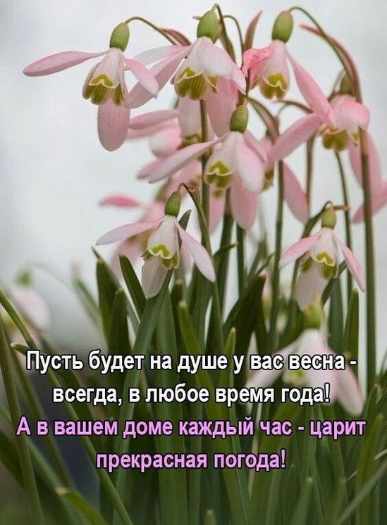 🌷🌷🌷 С наступающим 8 марта! С праздником весны