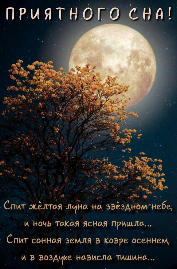 Пожелания Жене спокойной ночи🌙