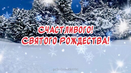 С рождеством христовым прикольные поздравления открытки 