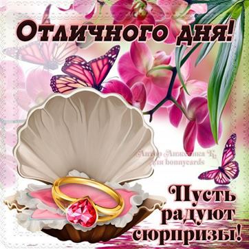 Открытка для любимых и родных милый Хорошего дня. Открытки на