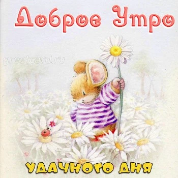 Доброе утро! С любовью …