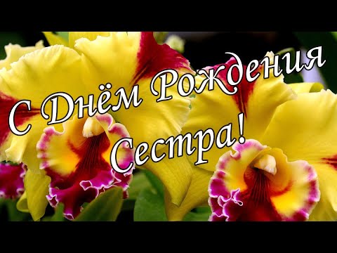 Видио Для Терезе Поздравить День Рождения Сестра | TikTok