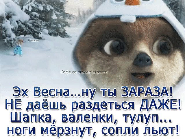 Юмор каждый день