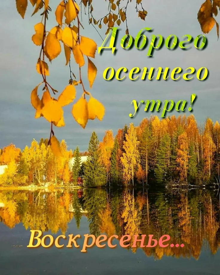 Доброе утро воскресенья : Бесплатные картинки