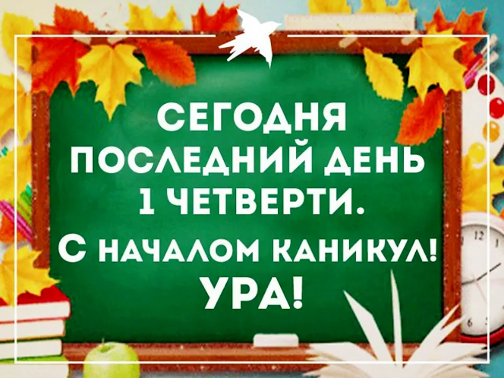 Советы специалистов