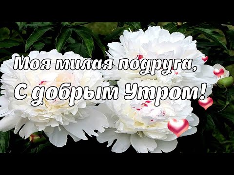 Бесплатная электронная картинка доброе