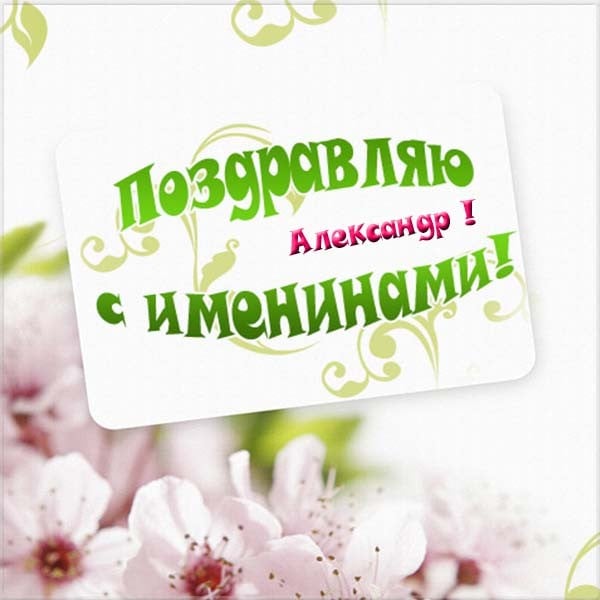 День Александров 28 марта – как поздравить Александров с днем