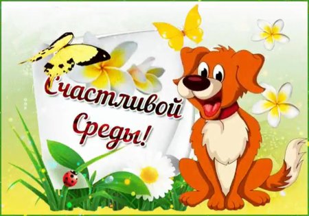 ☀️☀️☀️С Добрым Утром☀️☀️☀️ УЛЫБНИСЬ НОВОМУ ДНЮ