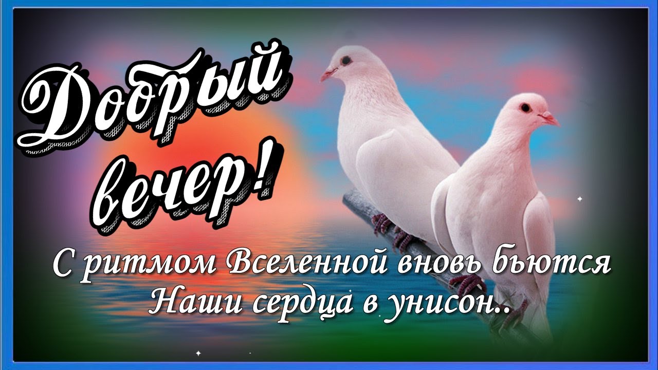 Всем доброго вечера! Желаю хорошего отдыха.. И чудесного