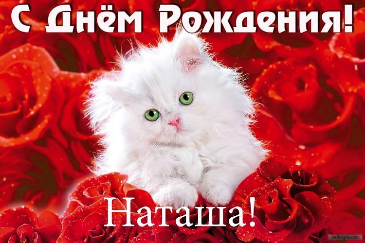 С Днем Рождения Наташа