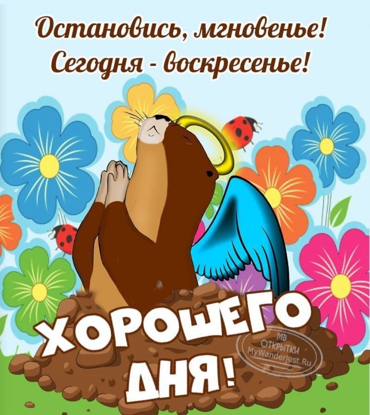 Позитивные картинки Доброе утро 😄 👇