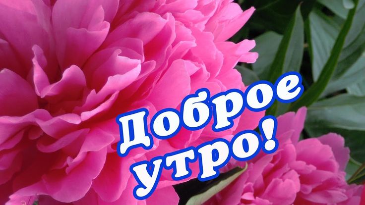 Замечательная открытка доброе утро с