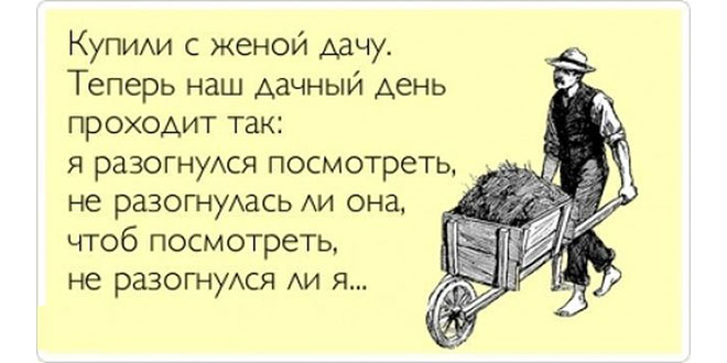 юмор #приколы #смех #шутки #огород #грядки #поделки #идеи