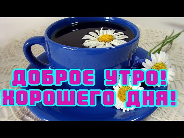 Видеооткрытка с добрым утром | TikTok