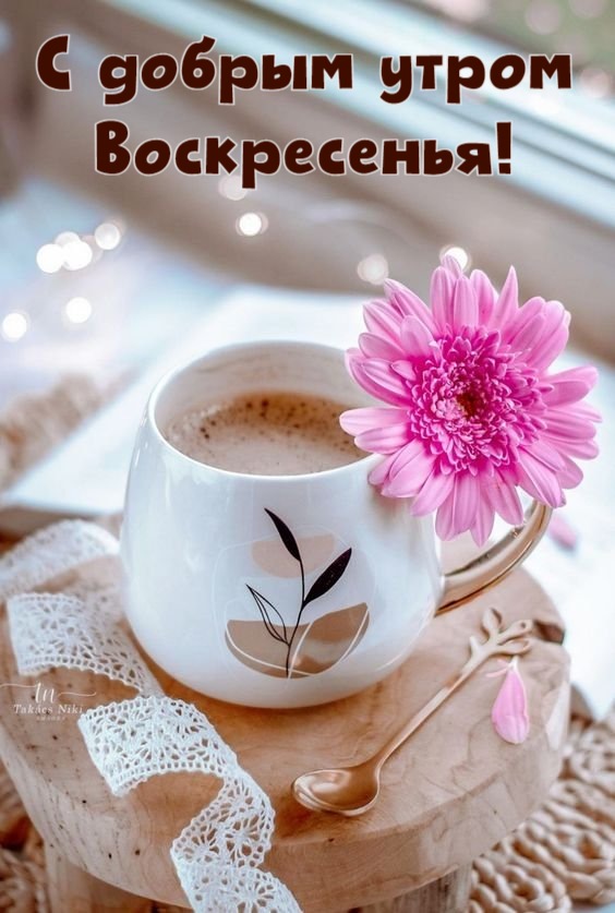 😃 Доброе воскресное утро