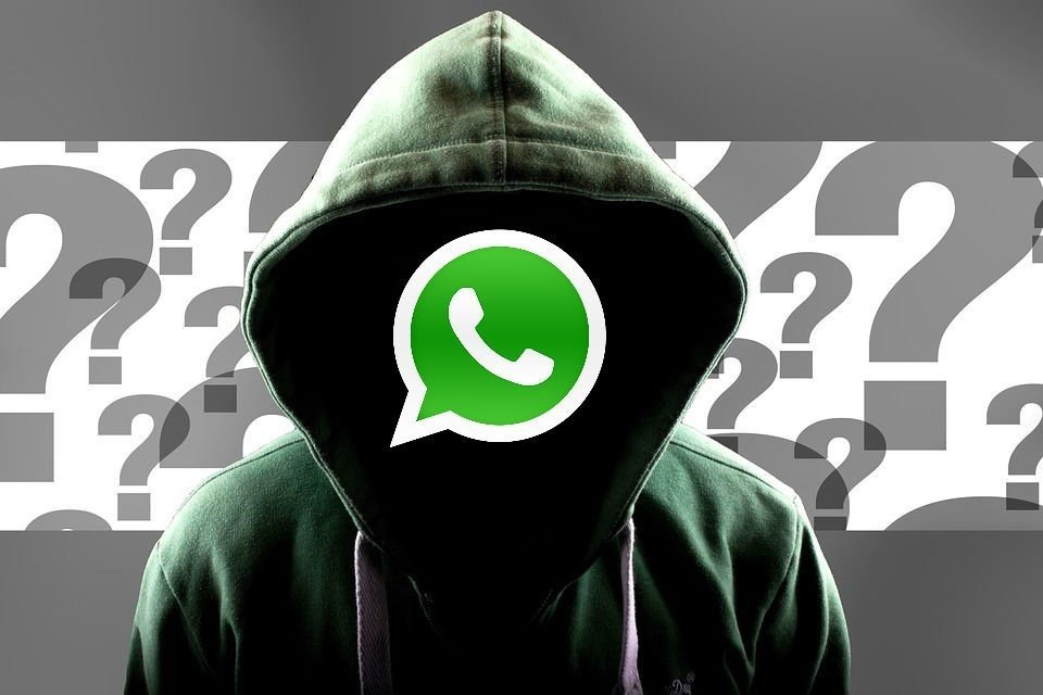 WhatsApp 3.1.8 для Android