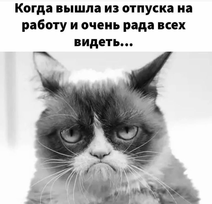 Холст «Мем прикол смешная капибара с уточкой, прикольная