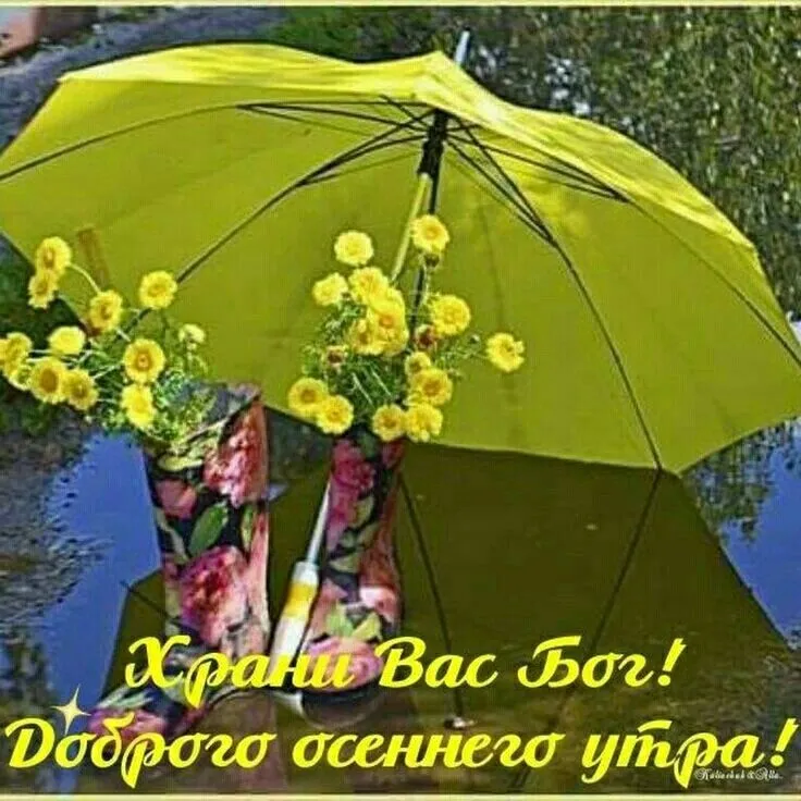 🌈💗🌈Доброго утра , благословенного дня!💗🌞красивое