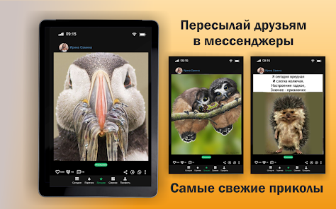 Скачать Милые Обои На Телефон 1.6.3 для Android