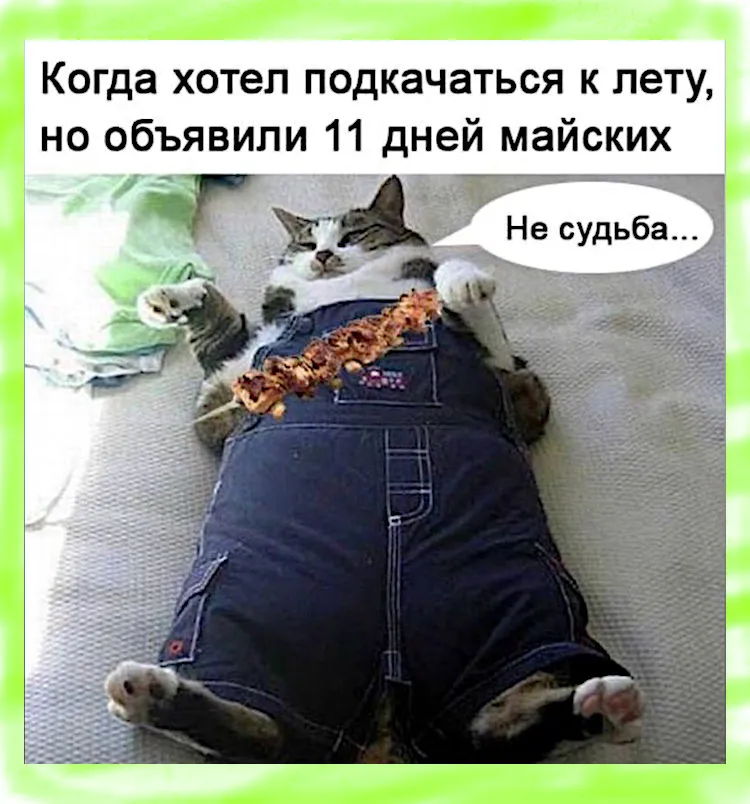 Прикольные фразы про еду и диеты