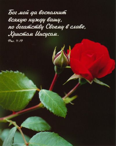 Ми намагаємося все зрозуміти головою, але Бог хоче відкривати