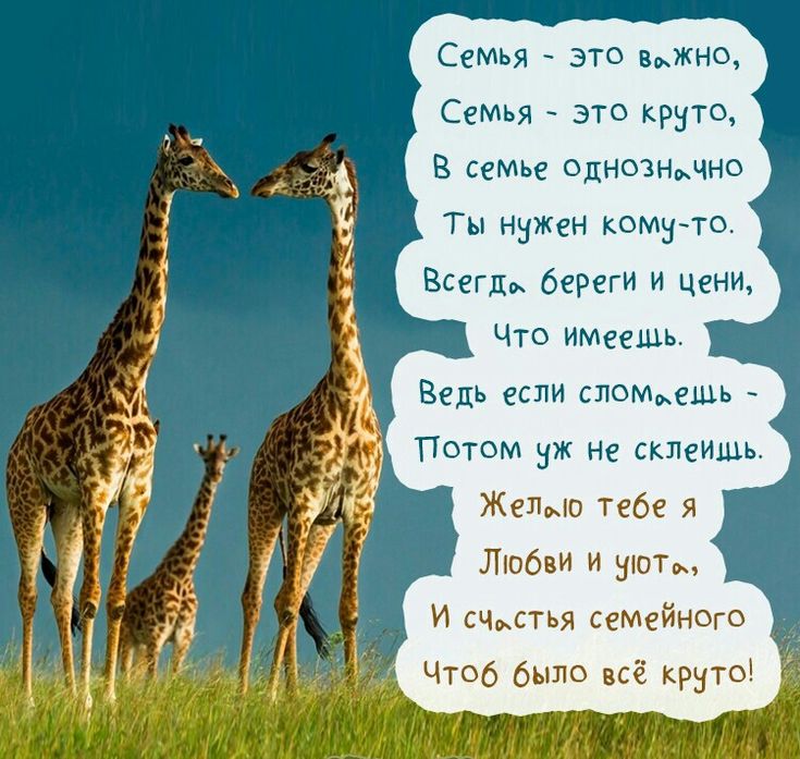 Поздравления с Днем семьи, любви и верности: стихи и проза