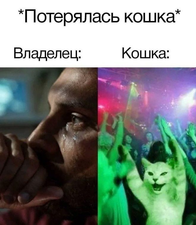 Открытка