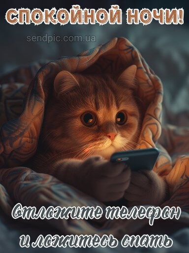 iPhone и iPad