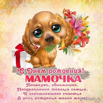 Картинка лучшей маме на свете : кошка и котенок