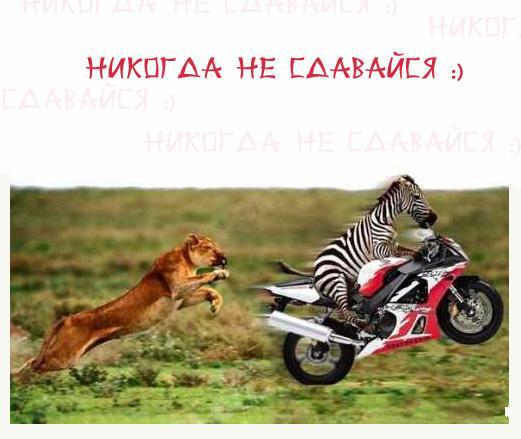 Никогда не сдавайся)))