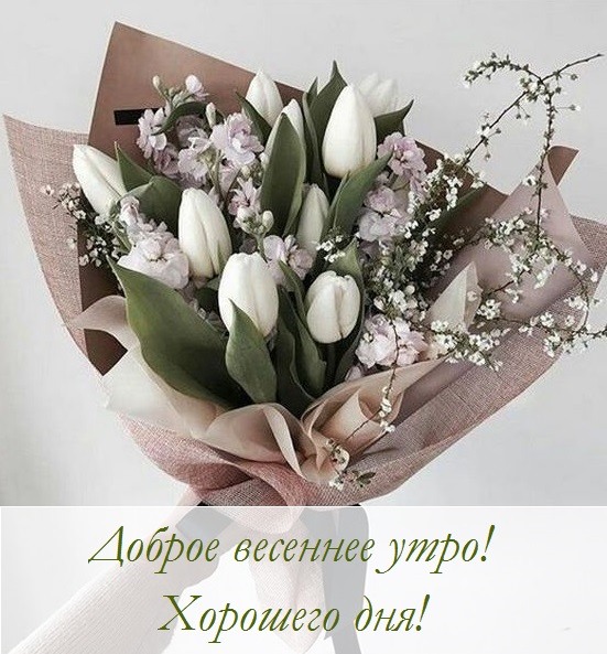 Доброе утро! 🌸 Счастливой вам Весны