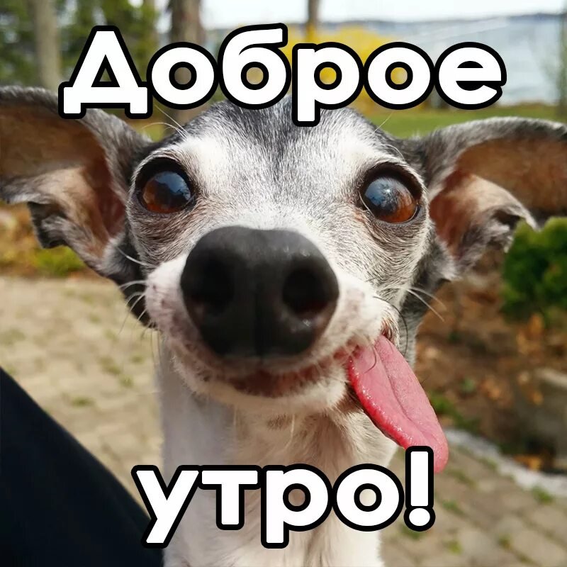 Доброе утро!