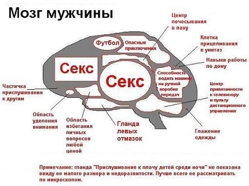 Прикольные фото для мужчин: поднимаем настроение