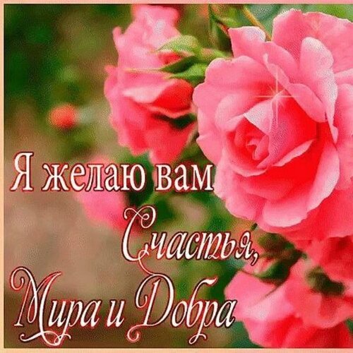 🌞 С добрым утром! 🎈 | Поздравления, пожелания, открытки