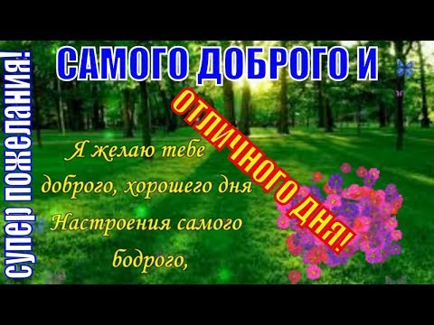 ДОБРОГО ДНЯ, хорошего дня и отличного настроения, доброго дня