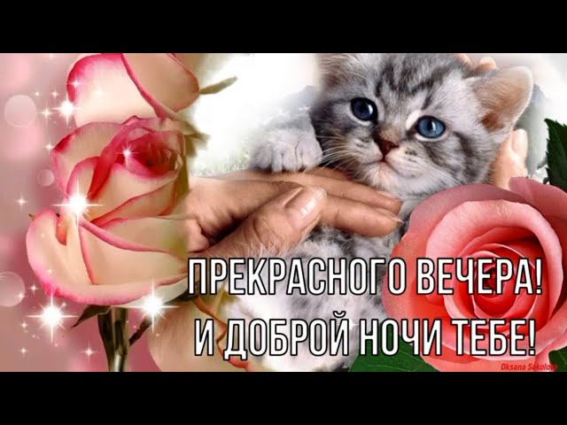 Вечер добрый! открытки и картинки со стихами