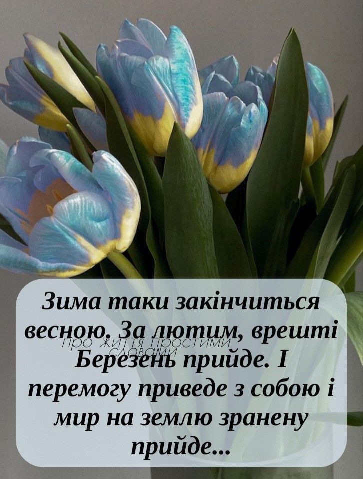 С ПЕРВЫМ ДНЕМ ВЕСНЫ🌷Красивое музыкальное поздравление