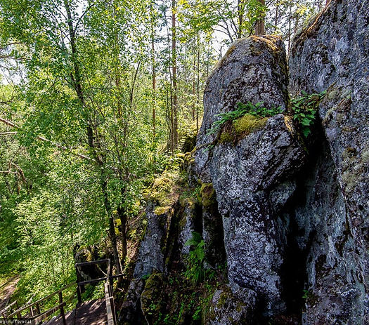 Скорая помощь 