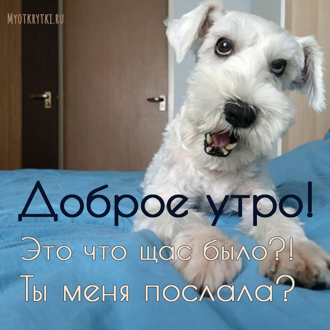 Позитивные картинки Доброе утро 😄 👇