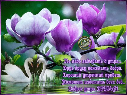 💗☕️Доброе Утро! Хорошего Дня!🌷Для