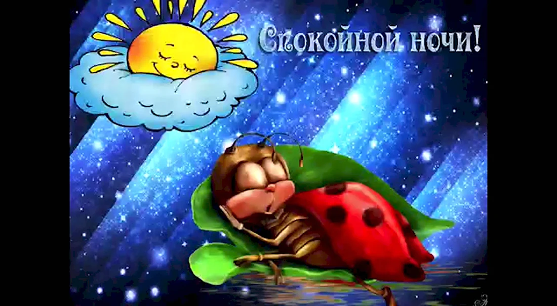 Спокойной ночи!