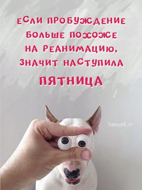 Поздравляю с пятницей!