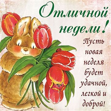 Отличной недели!/С началом недели! / Доброе утро!