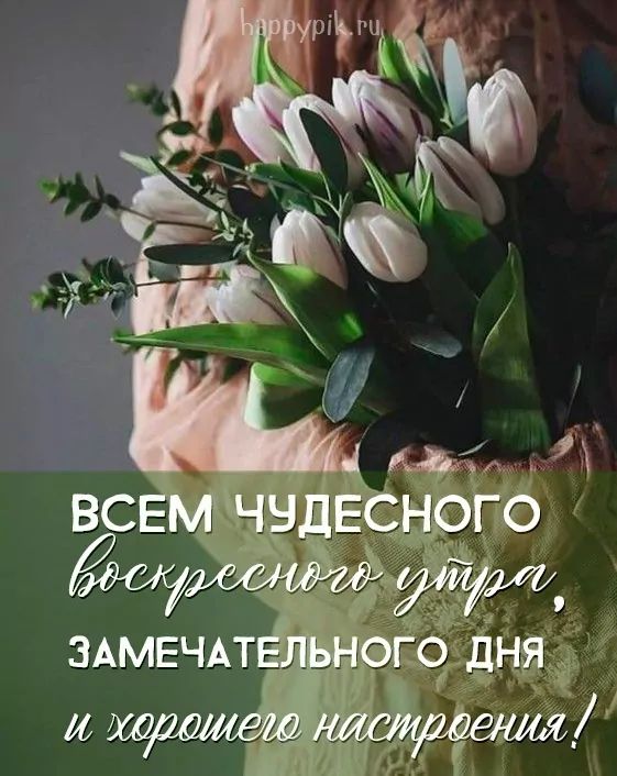 Воскресенье.. День хороший!.. 💆🥰 | С добрым утром